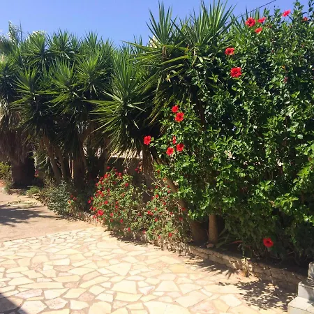 Tatil Evi Parrot *
