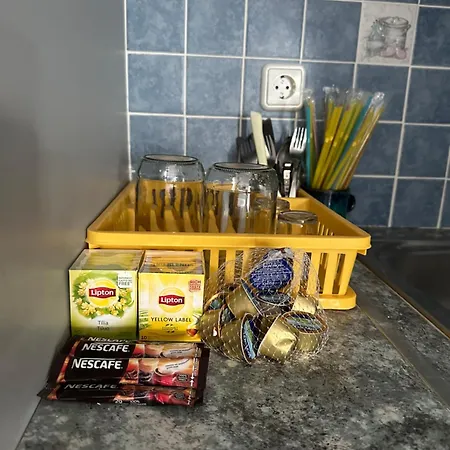 Parrot Dom wakacyjny Fratsia