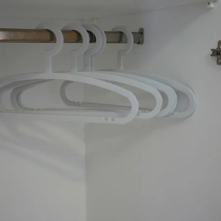 Parrot Dom wakacyjny Fratsia