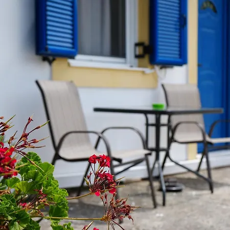 Parrot Dom wakacyjny