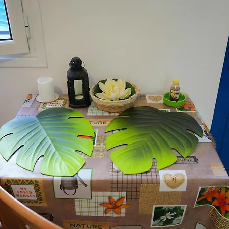 Parrot Holiday home
