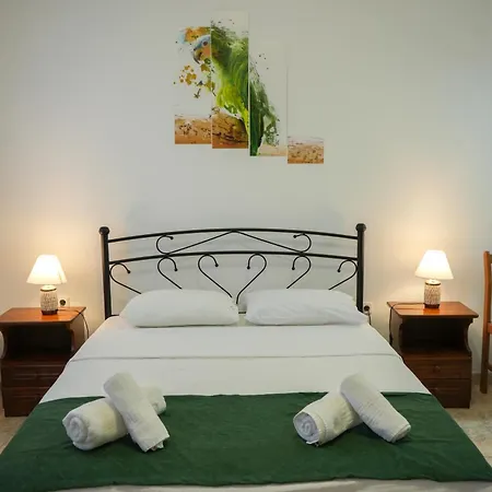 Parrot Dom wakacyjny *