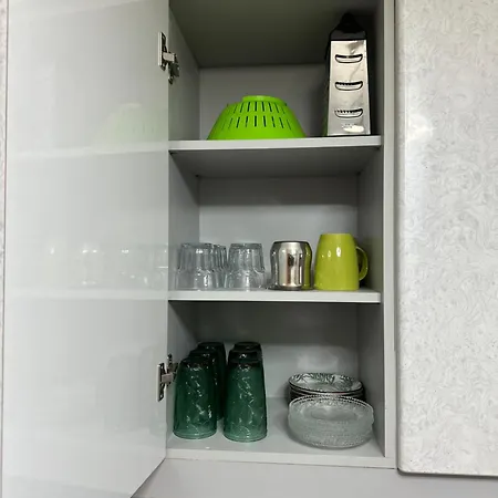 Tatil Evi Parrot