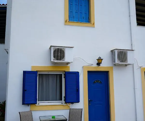 Parrot Fratsia