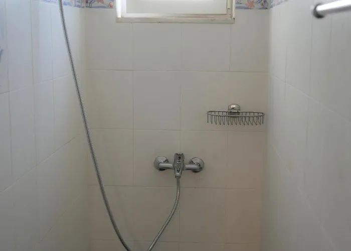 Parrot Prázdninový dům Fratsia