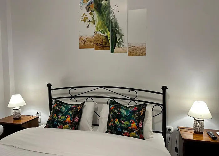 Parrot Prázdninový dům *