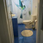 Parrot