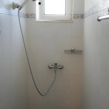 Parrot Holiday home Fratsia