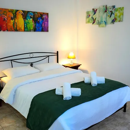 Parrot Holiday home