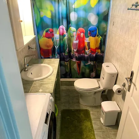 Parrot *
