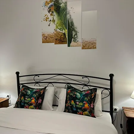 Parrot Holiday home *