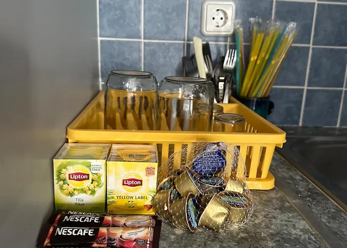 Parrot Nyaraló Frácia