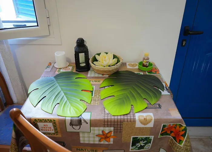 Parrot Tatil Evi